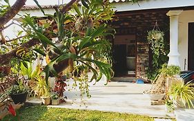 Sunrise Eco Resort